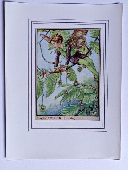 Beech Tree Fairies Print