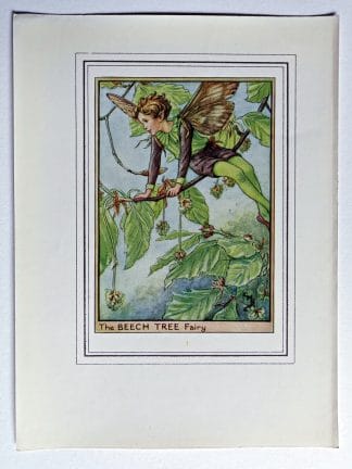 Beech Tree Fairy Print