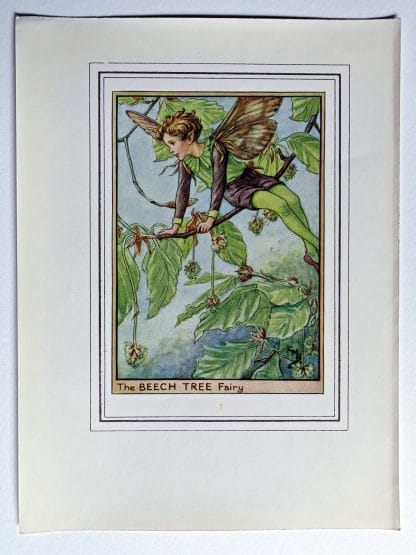 Beech Tree Fairy Print