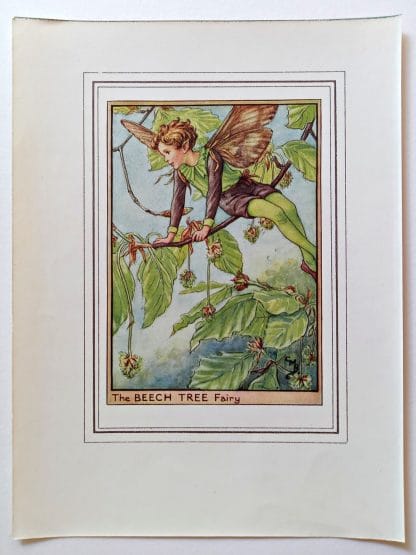Beech Tree Vintage Fairy Print