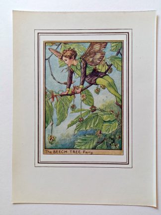 Beech Tree Vintage Flower Fairy Print