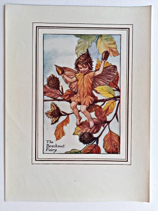 Beechnut Fairy Print