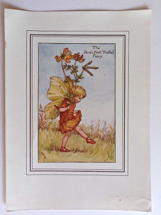 Birds Foot Trefoil Fairies Print