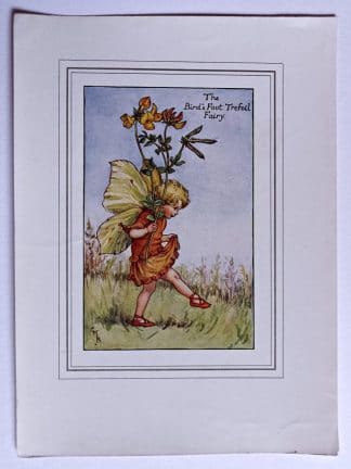 Birds Foot Trefoil Fairy Print