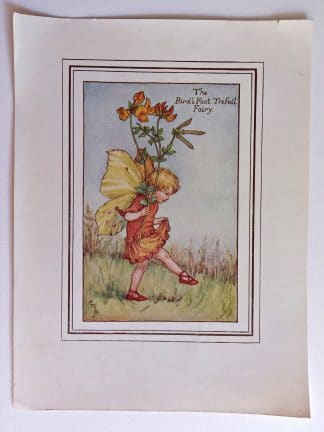 Birds Foot Trefoil Vintage Fairy Print