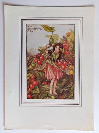 Black Bryony Fairies Print