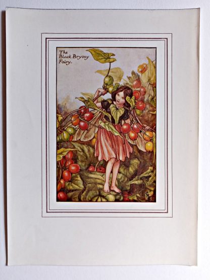 Black Bryony Fairy Print