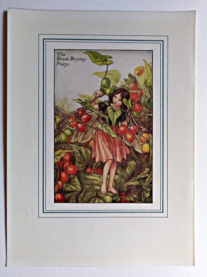 Black Bryony Vintage Flower Fairy Print