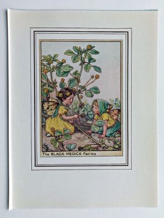 Black Medick Fairies Print