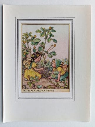 Black Medick Vintage Fairy Print