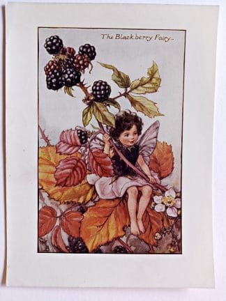 Blackberry Flower Fairy Print