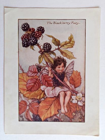 Blackberry Vintage Fairy Print