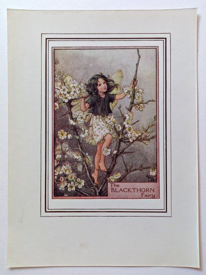Blackthorn Fairy Print