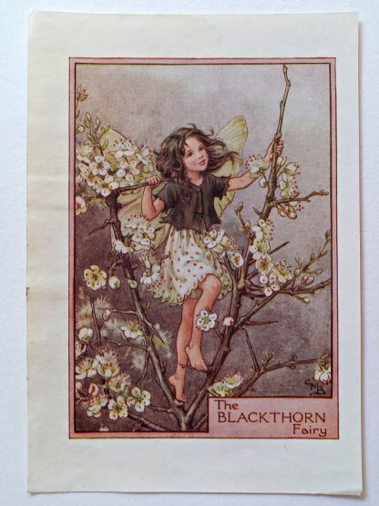 Blackthorn Vintage Flower Fairy Print