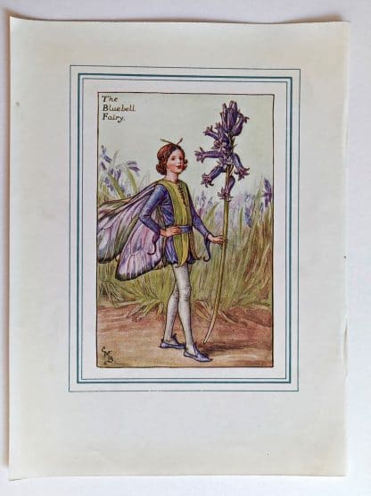 Bluebell Fairies Print