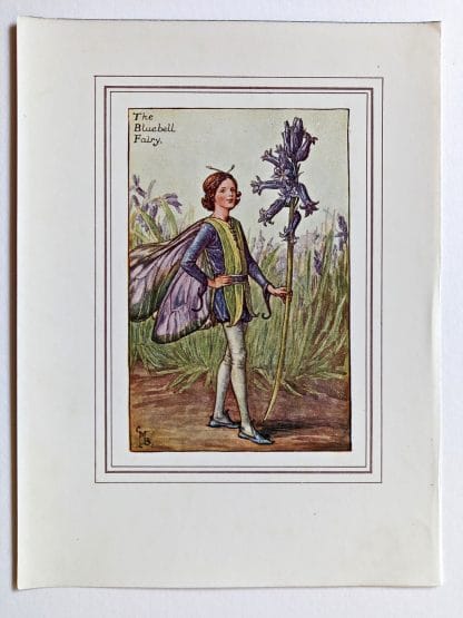 Bluebell Fairy Print