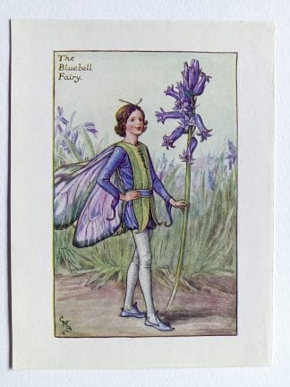 Bluebell Flower Fairy Print
