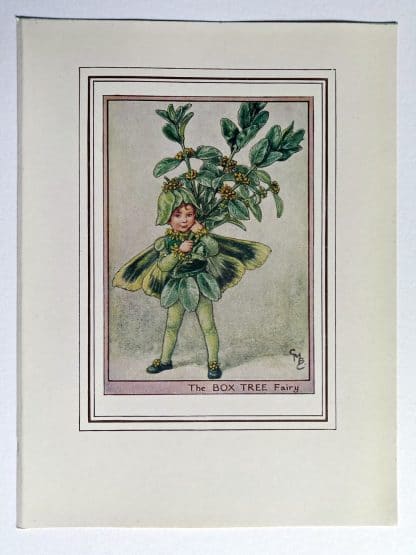 Box Tree Fairies Print
