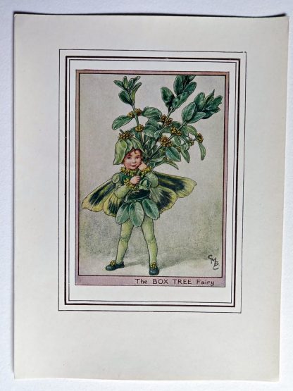 Box Tree Fairy Print