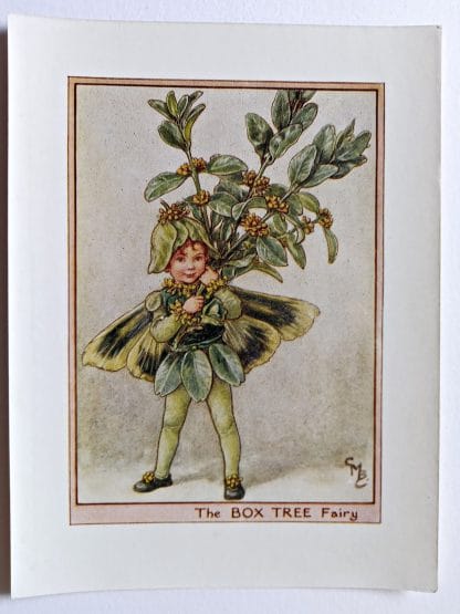 Box Tree Flower Fairy Print