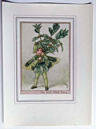 Box Tree Vintage Fairy Print