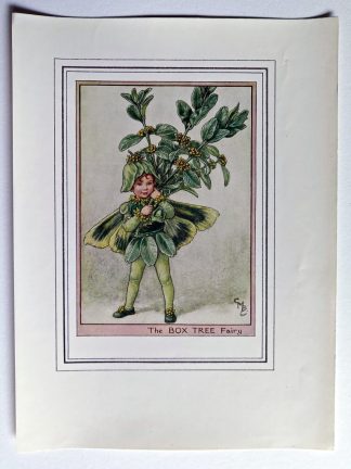Box Tree Vintage Flower Fairy Print