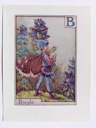 Bugle Flower Fairy Print