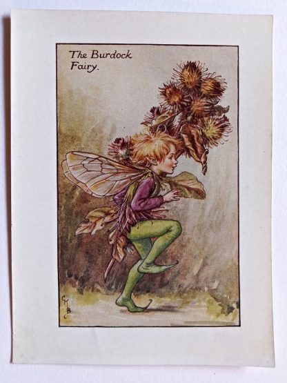 Burdock Flower Fairy Print