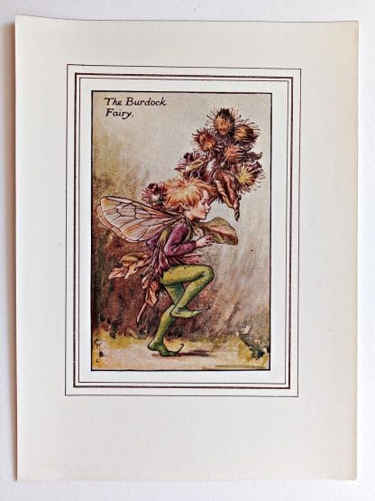 Burdock Vintage Flower Fairy Print