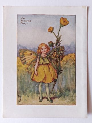 Buttercup Flower Fairy Print