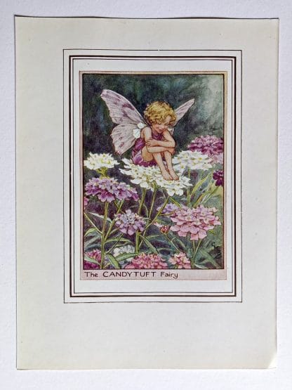 Candytuft Vintage Flower Fairy Print