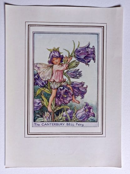 Canterbury Bell Fairies Print