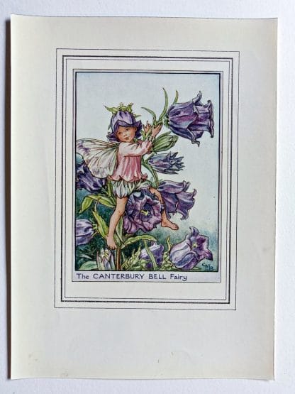 Canterbury Bell Fairy Print