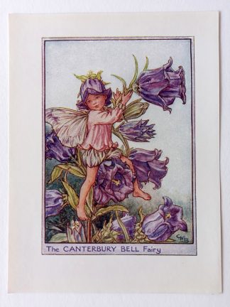 Canterbury Bell Flower Fairy Print