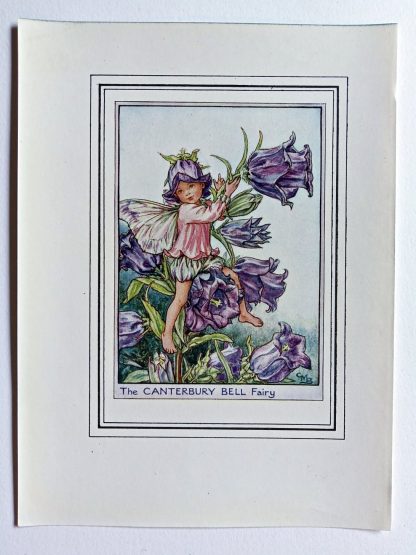 Canterbury Bell Vintage Flower Fairy Print