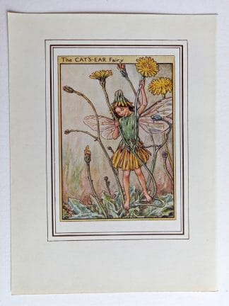 Cats Ear Fairies Print