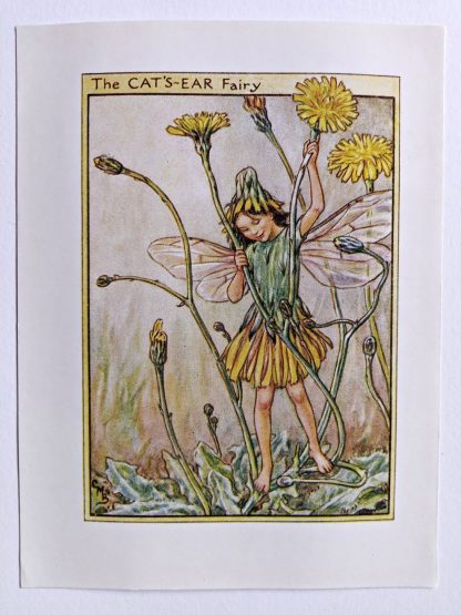 Cats Ear Flower Fairy Print