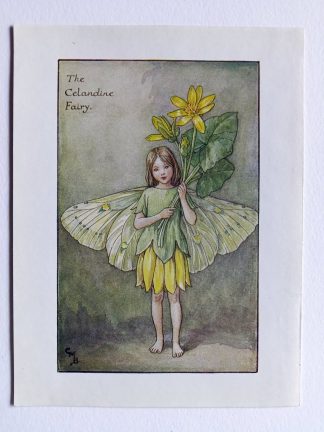 Celandine Flower Fairy Print