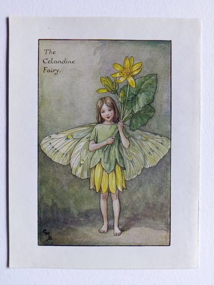 Celandine Flower Fairy Print