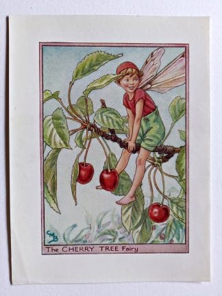 Cherry Tree Flower Fairy Print
