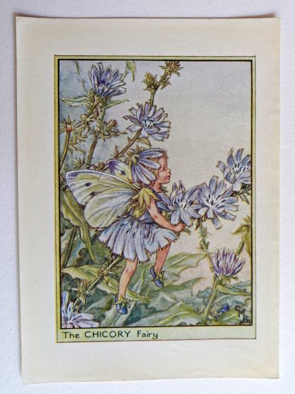 Chicory Fairies Print