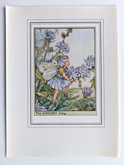 Chicory Fairy Print