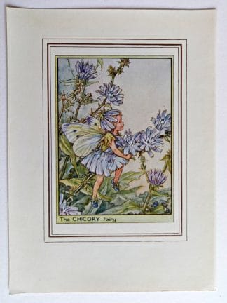 Chicory Vintage Fairy Print