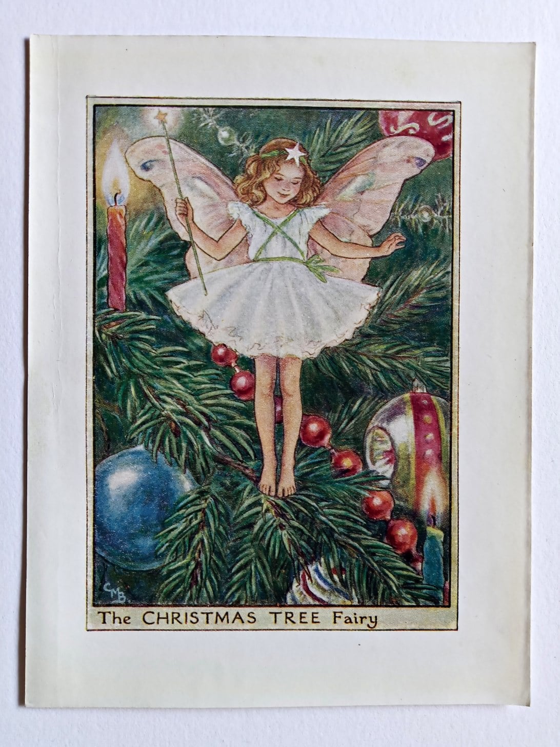 Flower Fairies Pine Tree Fairy Blank A6 Christmas Cards – 20 Pack, Vintage, UK Made, W/ Envelopes