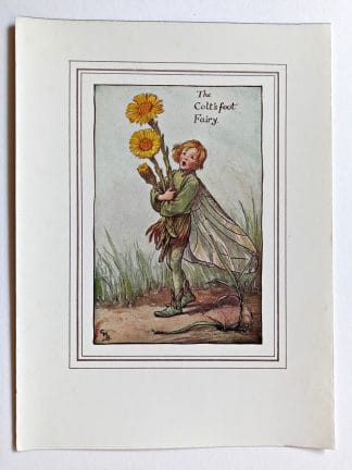 Coltsfoot Fairy Print