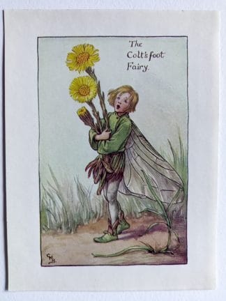 Coltsfoot Flower Fairy Print