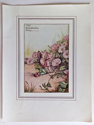 Convolvulus Fairies Print