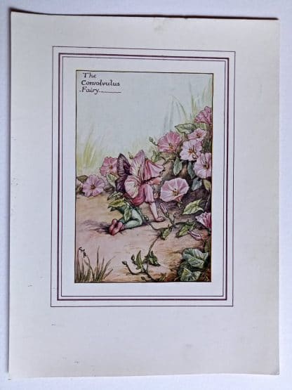 Convolvulus Fairy Print