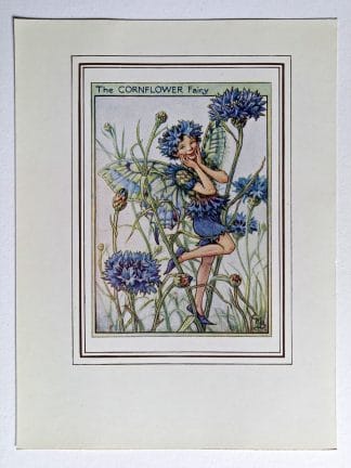 Cornflower Fairy Print