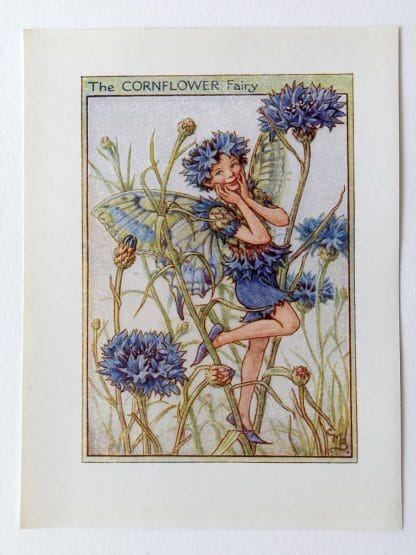 Cornflower Flower Fairy Print